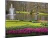 Keukenhof, Park and Gardens Near Amsterdam, Netherlands, Europe-Amanda Hall-Mounted Photographic Print