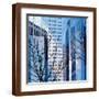 Brown Frame