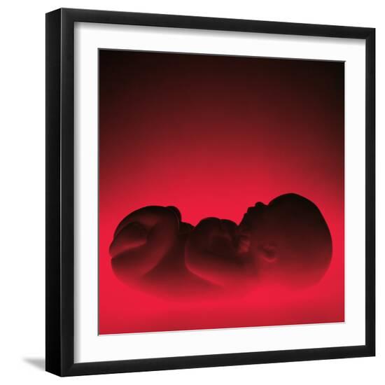 Premium Photographic Print, , large