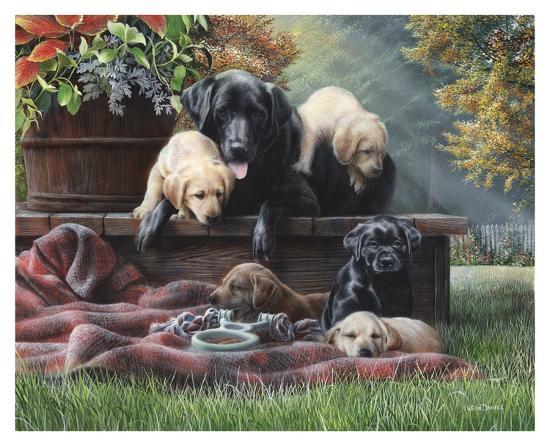 Art Print, , large