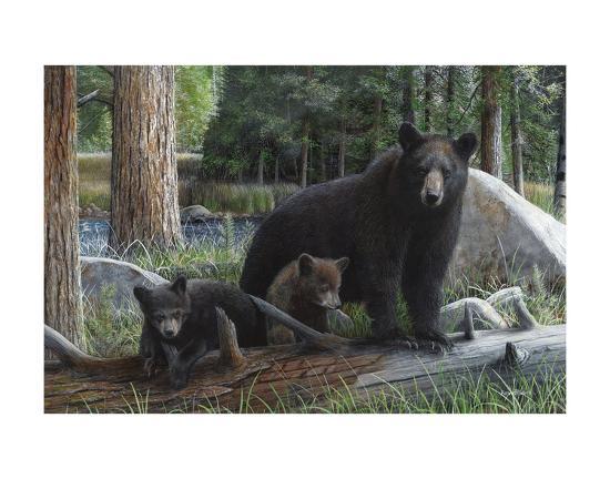 Art Print, , large