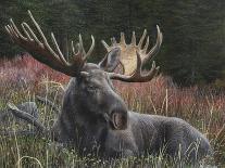 American Icon- Elk-Kevin Daniel-Art Print