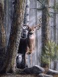 Recumbent Moose-Kevin Daniel-Art Print