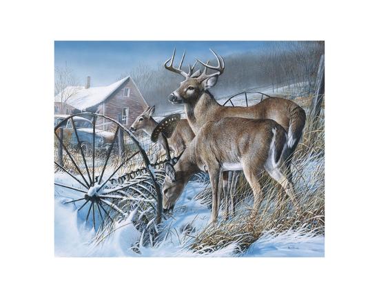 Art Print, , large