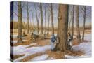 Stretched Canvas