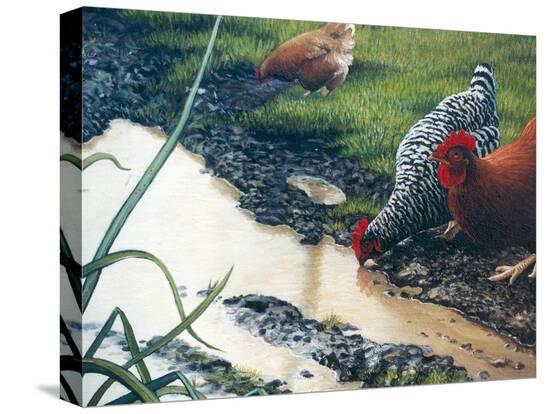 Stretched Canvas Print, , large