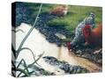 Stretched Canvas
