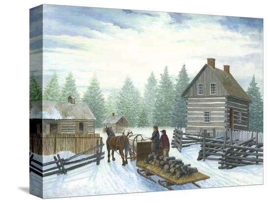 Stretched Canvas Print, , large
