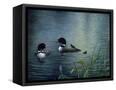 Canvas Black