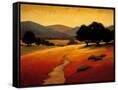 Canvas Black