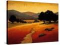 Stretched Canvas