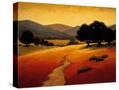 Stretched Canvas