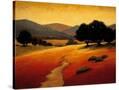 Stretched Canvas