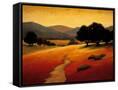 Canvas Black