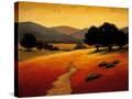 Stretched Canvas