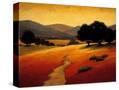 Stretched Canvas