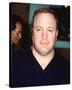 Kevin James-null-Stretched Canvas