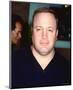 Kevin James-null-Mounted Photo