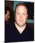 Kevin James-null-Mounted Photo