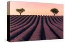 Stretched Canvas