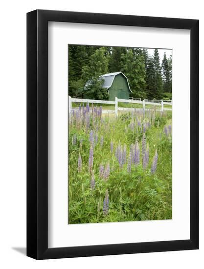 Photographic Print, , large