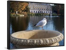 Kew Autumn Lake 2-Charles Bowman-Framed Photographic Print