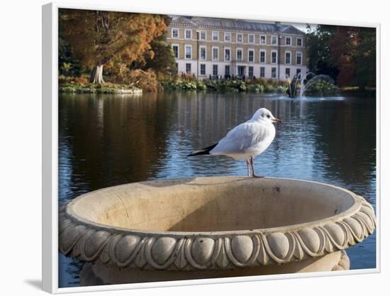 Kew Autumn Lake 2-Charles Bowman-Framed Photographic Print