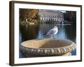 Kew Autumn Lake 2-Charles Bowman-Framed Photographic Print