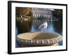 Kew Autumn Lake 2-Charles Bowman-Framed Photographic Print