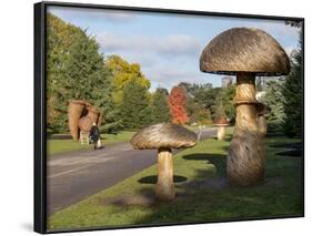 Kew Fungi-Charles Bowman-Framed Photographic Print