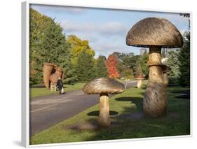 Kew Fungi-Charles Bowman-Framed Photographic Print