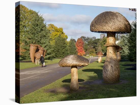 Kew Fungi-Charles Bowman-Stretched Canvas