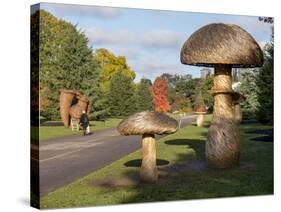 Kew Fungi-Charles Bowman-Stretched Canvas
