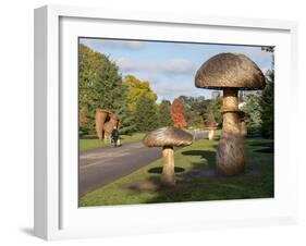Kew Fungi-Charles Bowman-Framed Photographic Print