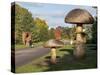 Kew Fungi-Charles Bowman-Stretched Canvas