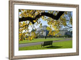 Kew Gardens Palm House 1-Charles Bowman-Framed Photographic Print