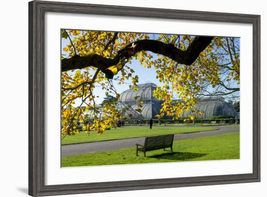 Kew Gardens Palm House 1-Charles Bowman-Framed Photographic Print