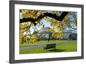 Kew Gardens Palm House 1-Charles Bowman-Framed Photographic Print