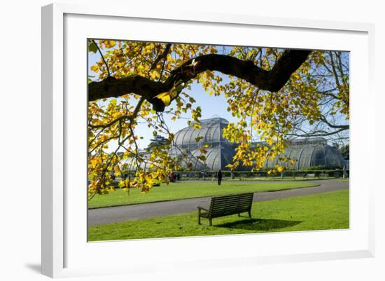 Kew Gardens Palm House 1-Charles Bowman-Framed Photographic Print