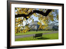 Kew Gardens Palm House 1-Charles Bowman-Framed Photographic Print