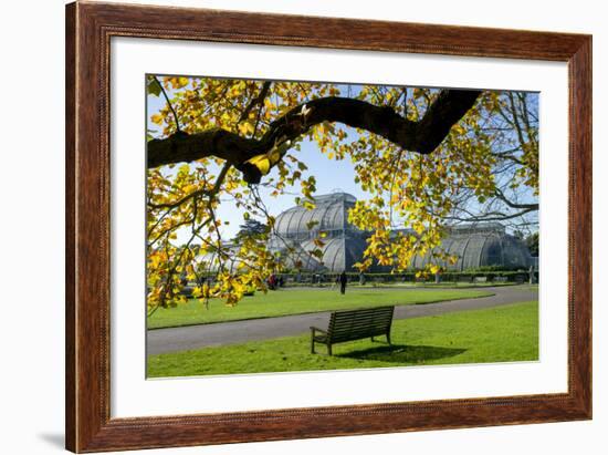 Kew Gardens Palm House 1-Charles Bowman-Framed Photographic Print