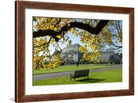 Kew Gardens Palm House 1-Charles Bowman-Framed Photographic Print