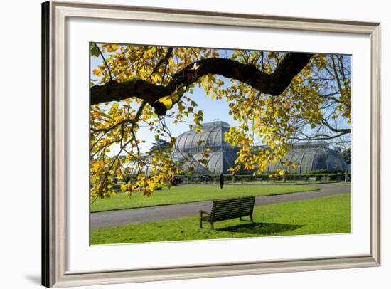 Kew Gardens Palm House 1-Charles Bowman-Framed Photographic Print