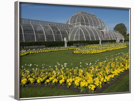 Kew Gardens Palm House-Charles Bowman-Framed Photographic Print