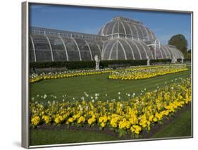 Kew Gardens Palm House-Charles Bowman-Framed Photographic Print