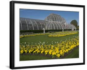 Kew Gardens Palm House-Charles Bowman-Framed Photographic Print