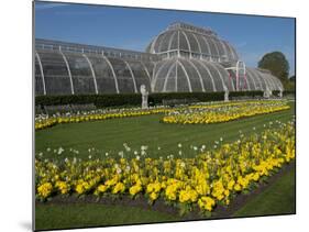 Kew Gardens Palm House-Charles Bowman-Mounted Photographic Print