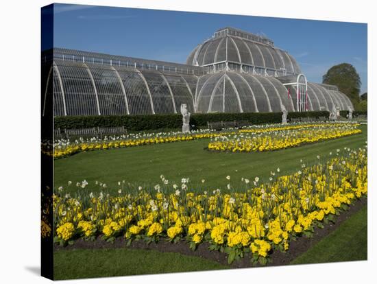 Kew Gardens Palm House-Charles Bowman-Stretched Canvas