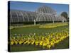 Kew Gardens Palm House-Charles Bowman-Stretched Canvas