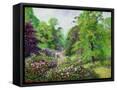 Canvas Black